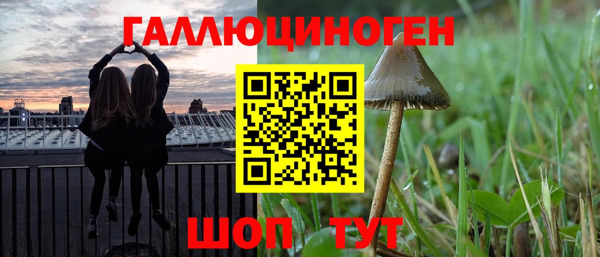 Новотроицк  Галлюциногенные грибы мицелий  Вход с VPN  Галлюциногенные грибы GOLDEN TEACHER 