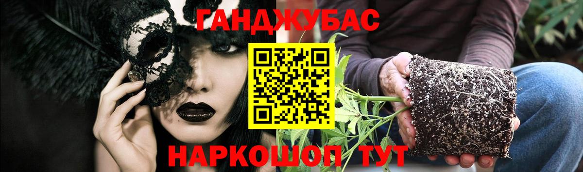 Марихуана планчик  Вход с VPN  Канабис White Widow  Марихуана индика  Новотроицк  Марихуана Ganja 